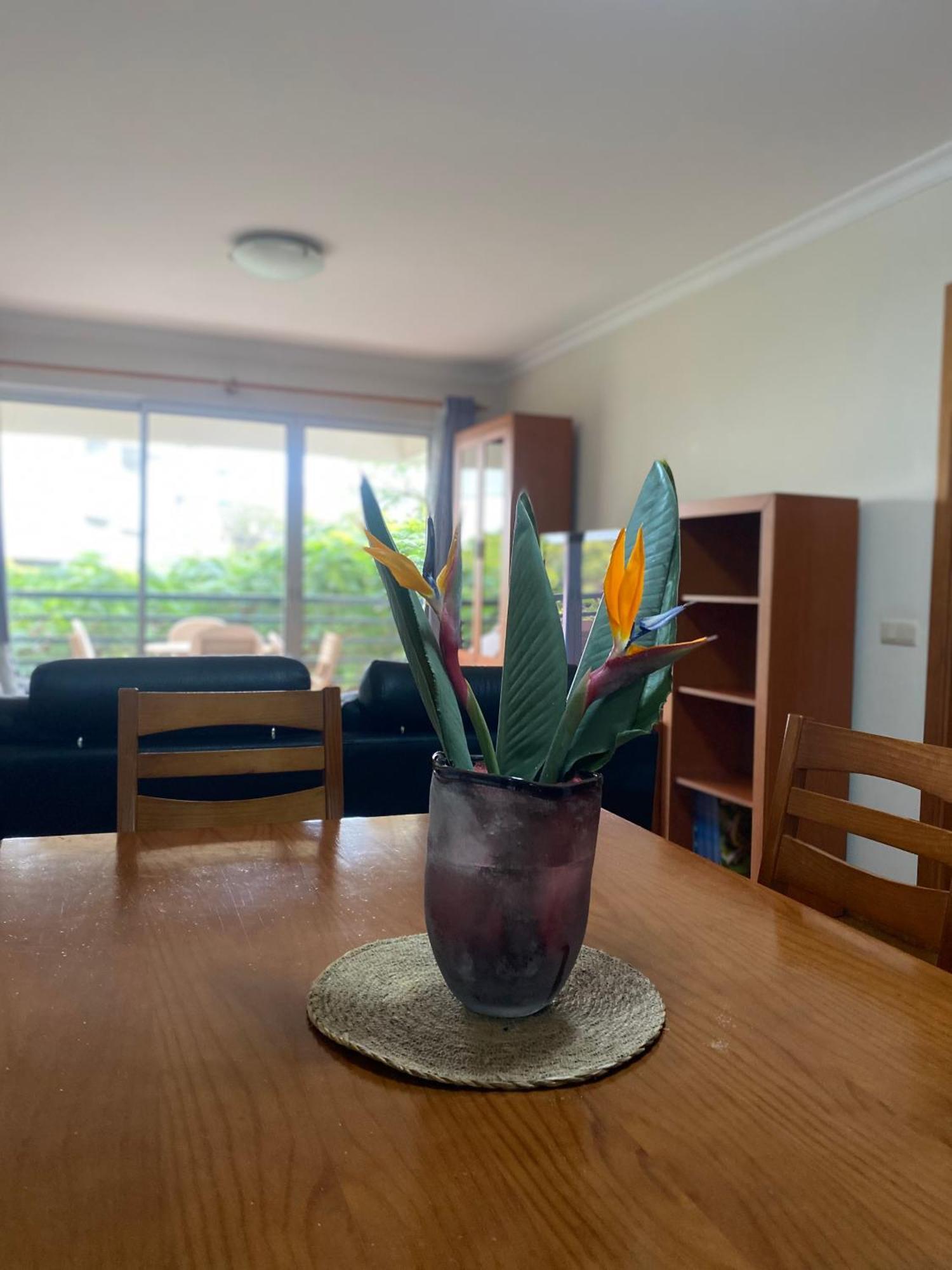 Appartement Costa Do Sol V Funchal (Madeira)